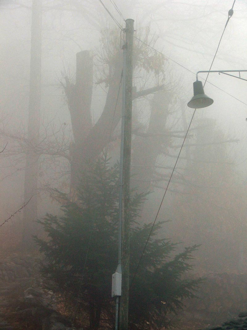 nebbia5.jpg
