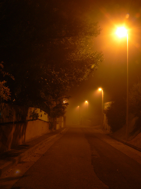 Nebbia 003.jpg