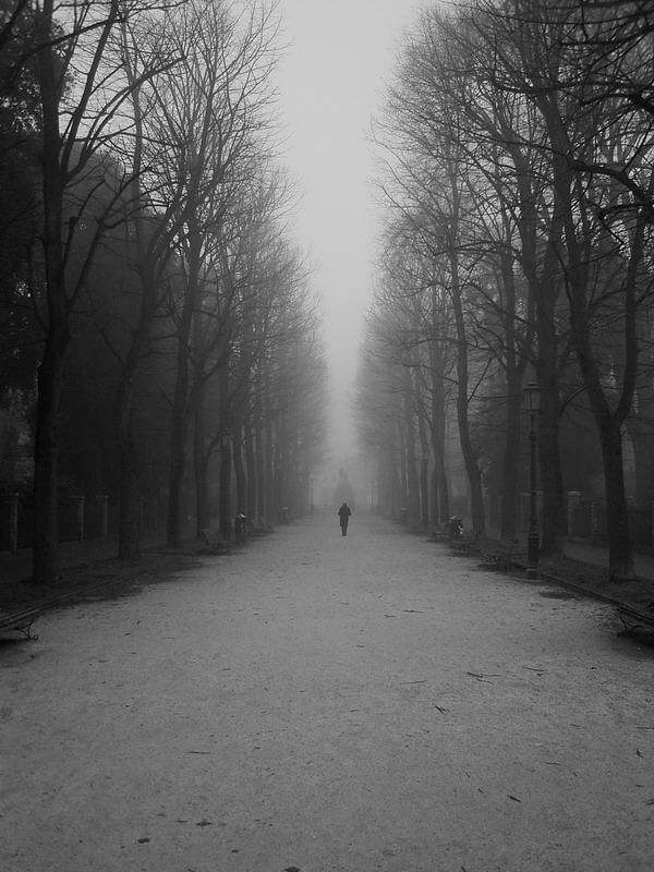 nebbia.jpg