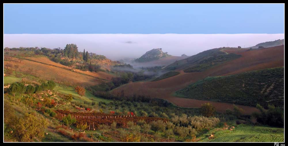nebbia.jpg