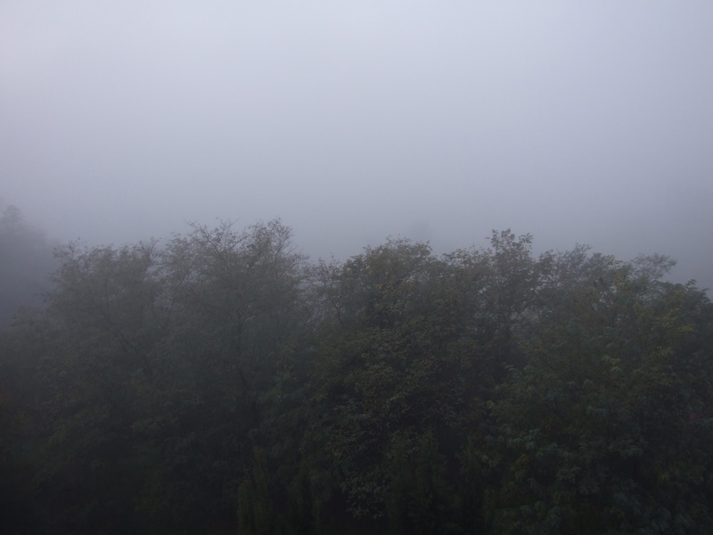 nebbia.jpg