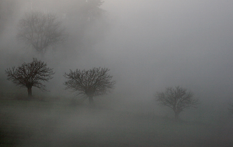 nebbia.jpg