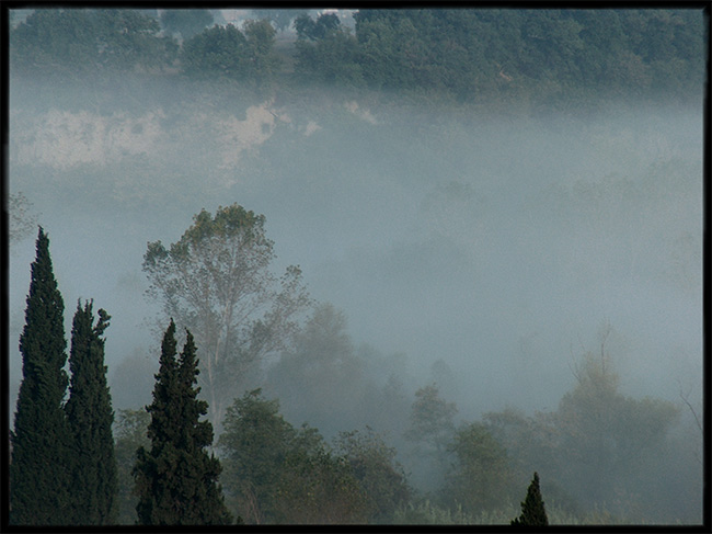 nebbia.jpg