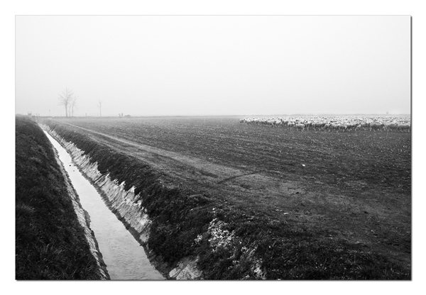nebbia 3 b.jpg