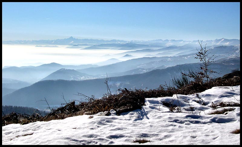 Nebbia.jpg