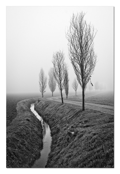 nebbia 4 b.jpg