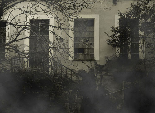 nebbia.jpg