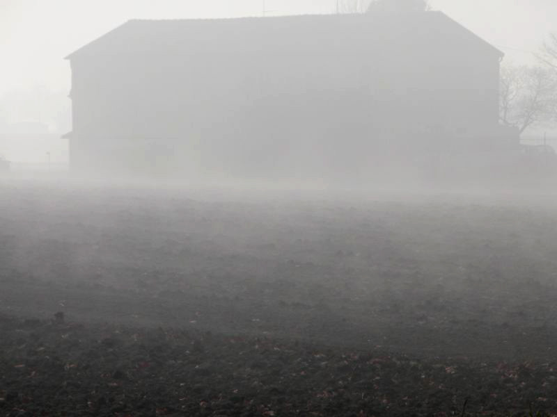 nebbia_671 A.jpg