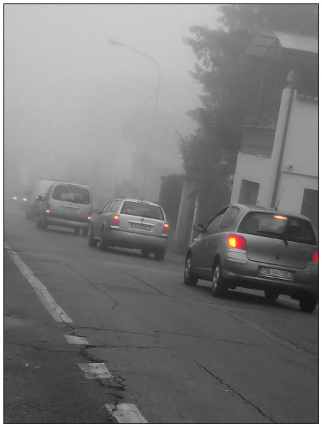 nebbia_luca.jpg