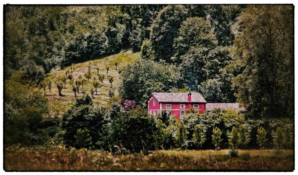 nel-bosco.jpg