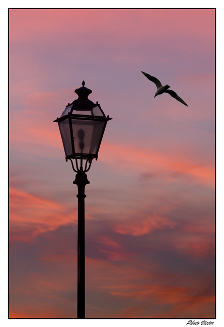 Nel-Tramonto.jpg
