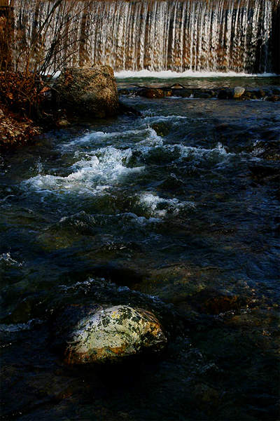 Nel fiume.jpg