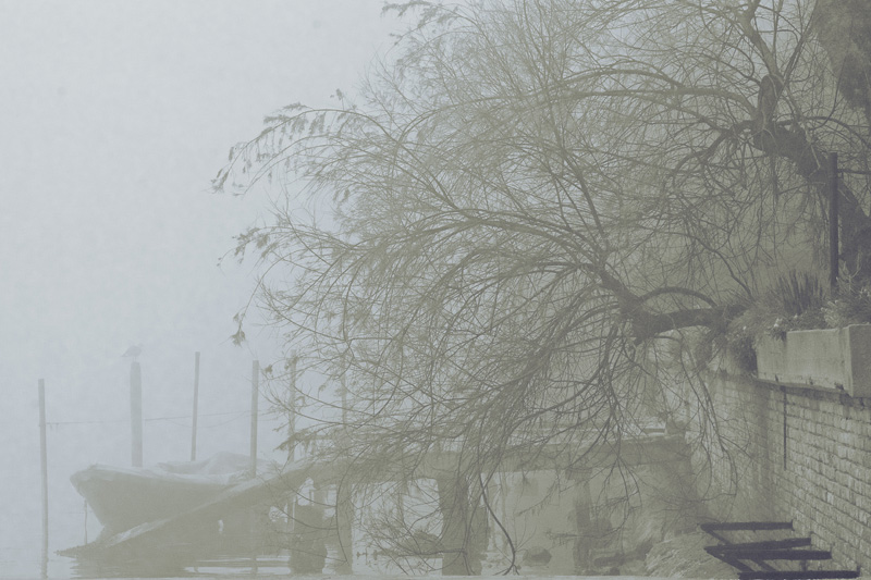 Nella nebbia 02bis.jpg