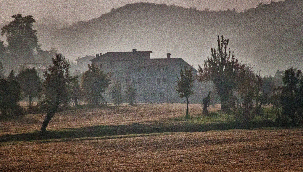 nella nebbia.jpg