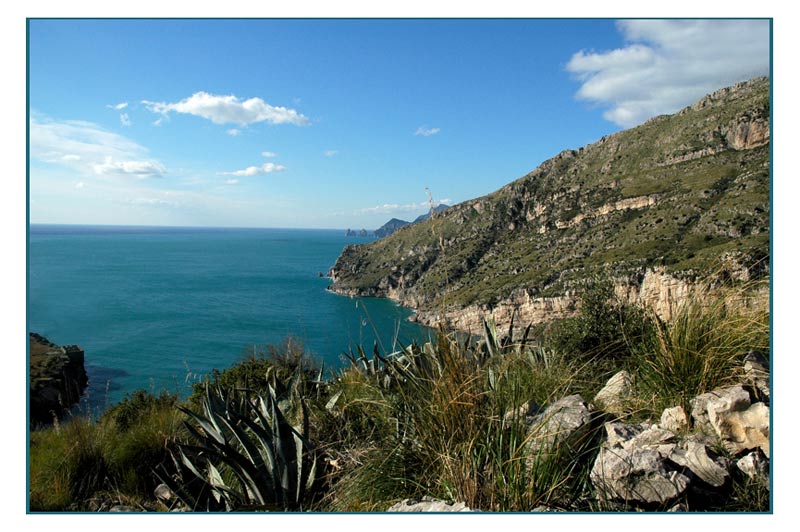 Nerano_2_800_90kb.jpg