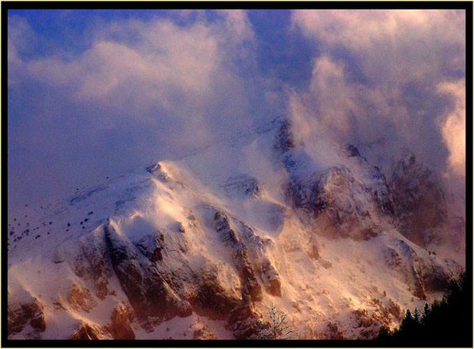 neve01.jpg