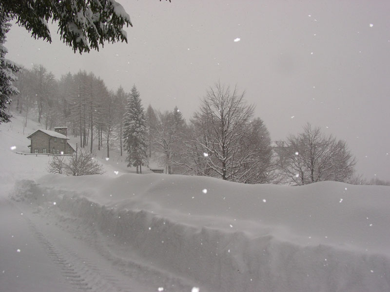 neve11032004 057.jpg