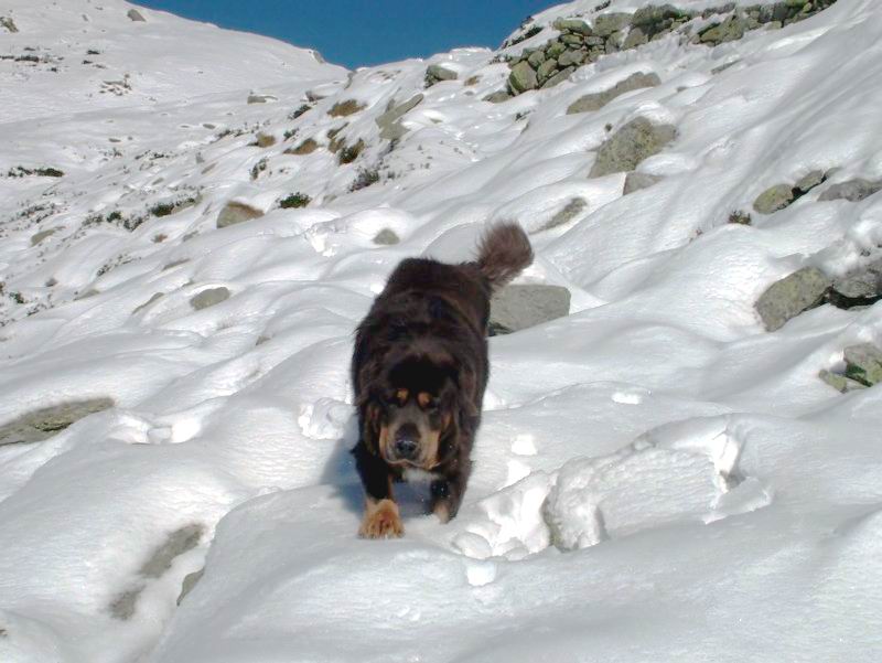 neve2.jpg