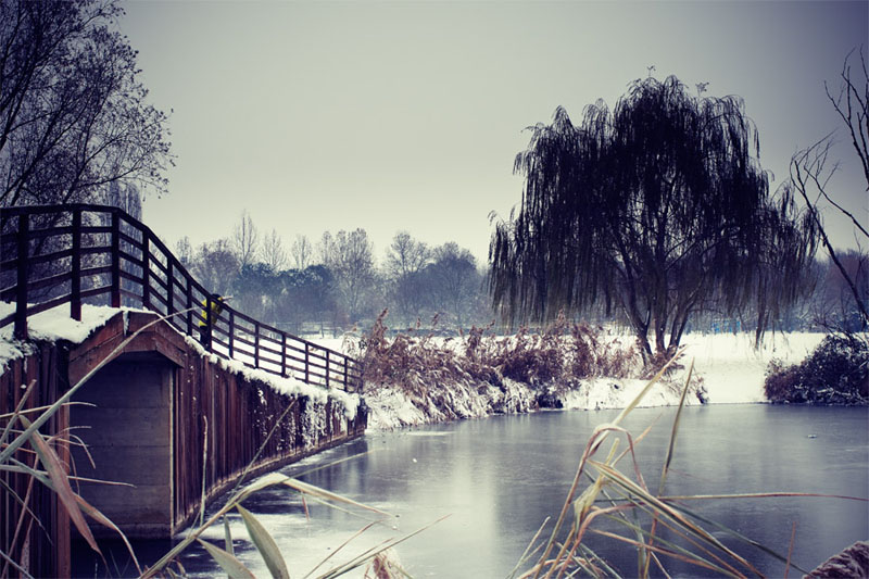 neve_0146-2.jpg