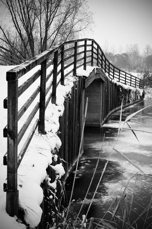 neve_0151.jpg