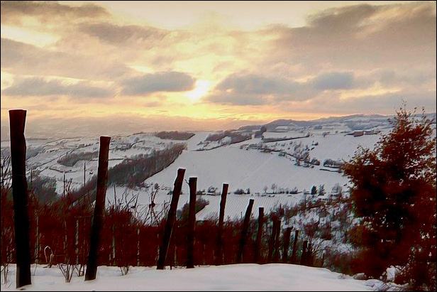 neve_035_-_copia_190a.jpg