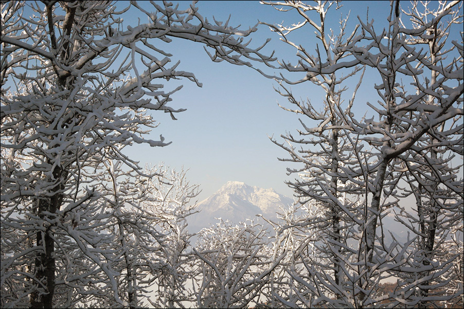 neve_1.jpg