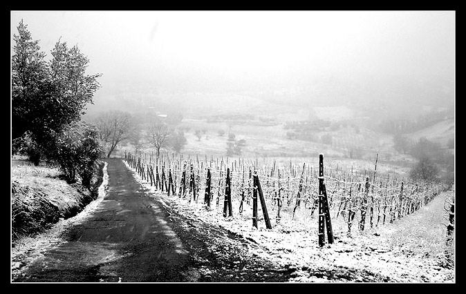 neve[2].jpg