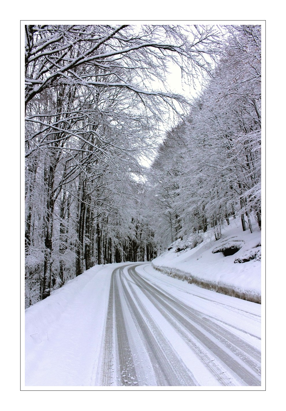 neve.jpg