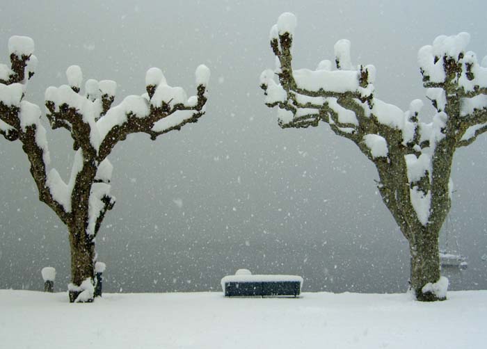 neve ascona.jpg