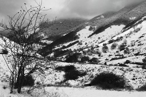 neve_bis.jpg