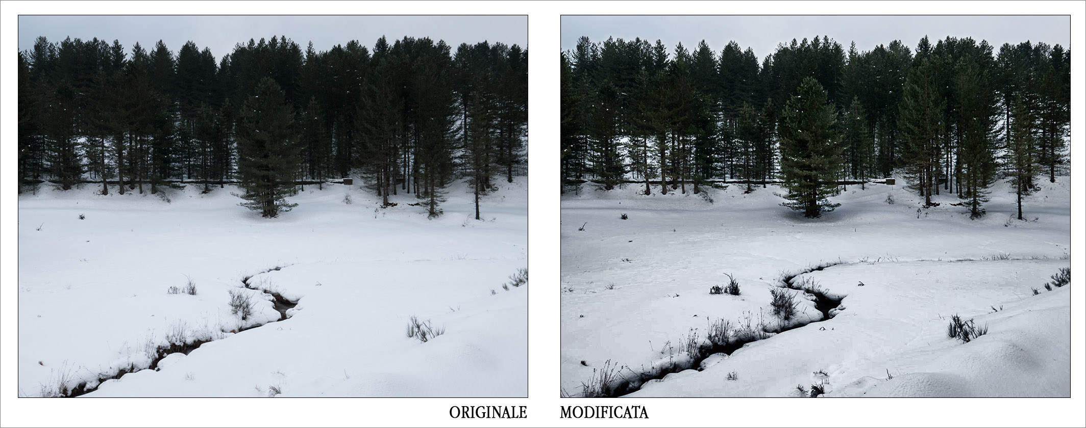 neve_confr.jpg