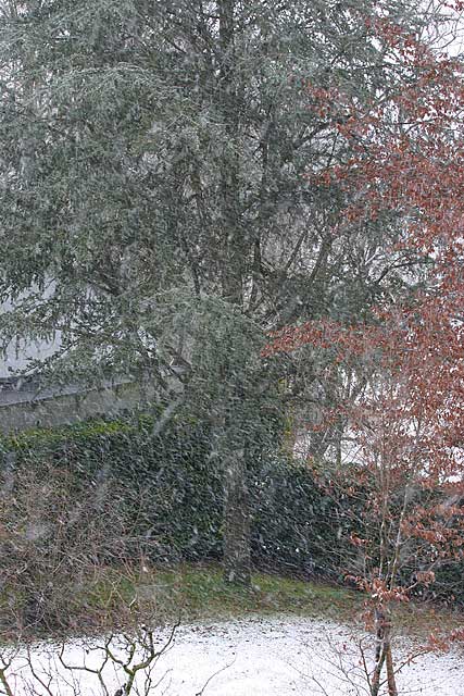 neve_giardino.jpg