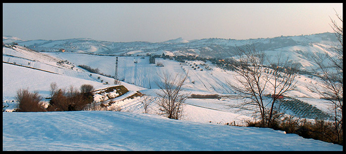 neveee.jpg