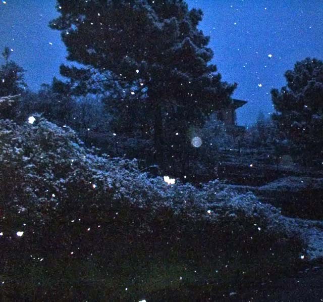 Nevicata.jpg