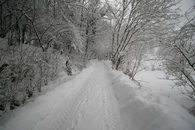 nevicata2.jpg