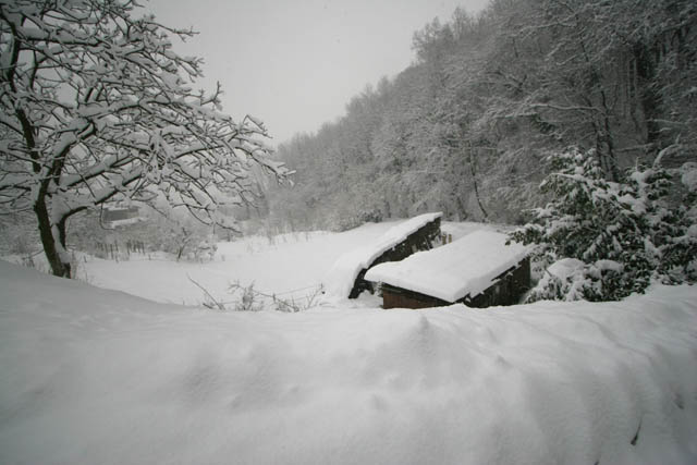 nevicata3.jpg