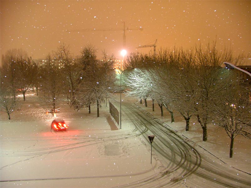 nevicata.jpg