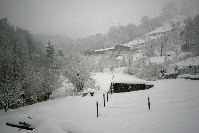 nevicata.jpg