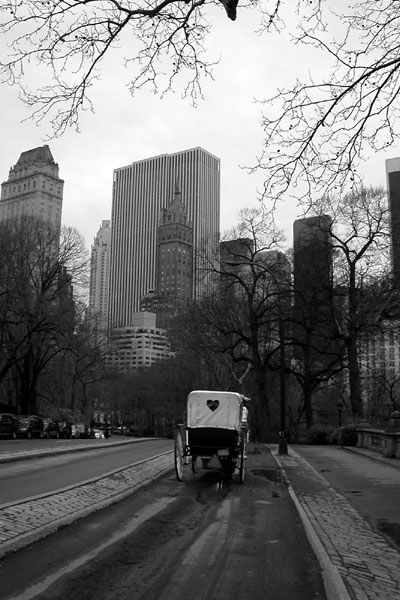 NewYork_06.jpg