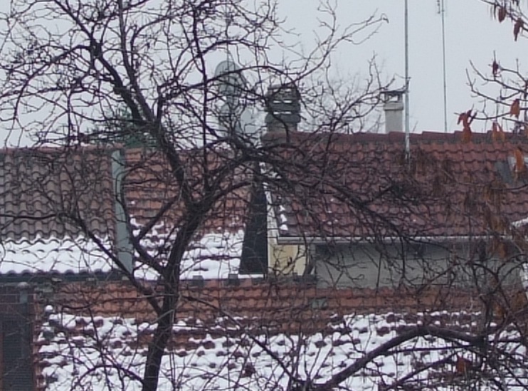 nik35-4.JPG