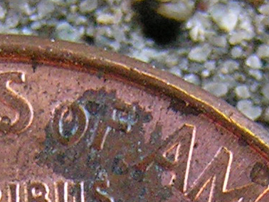 Nikon-8400-DSCN0023.jpg