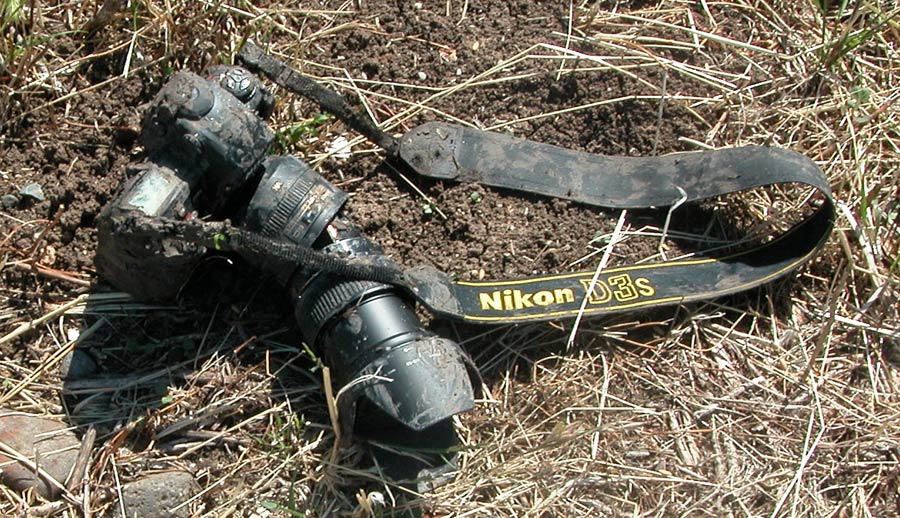 Nikon-D3S.jpg