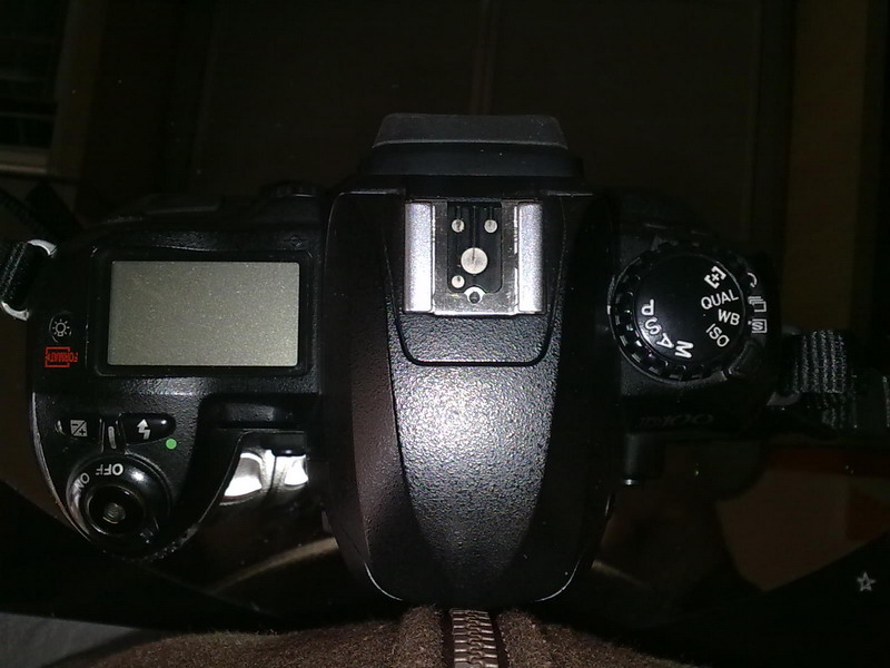 nikon4.jpg