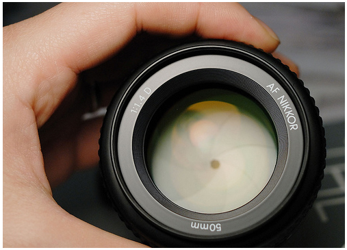 Nikon AF 50mm 1.4D.jpg