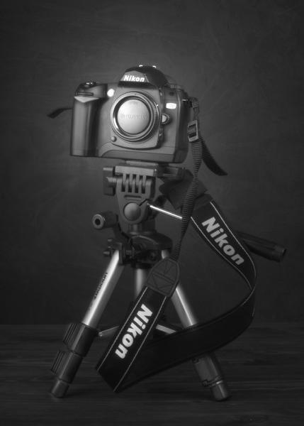 Nikon_copia_a_600.JPG