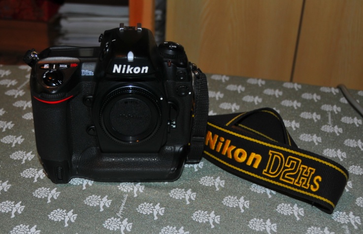 Nikon d2hs.jpg