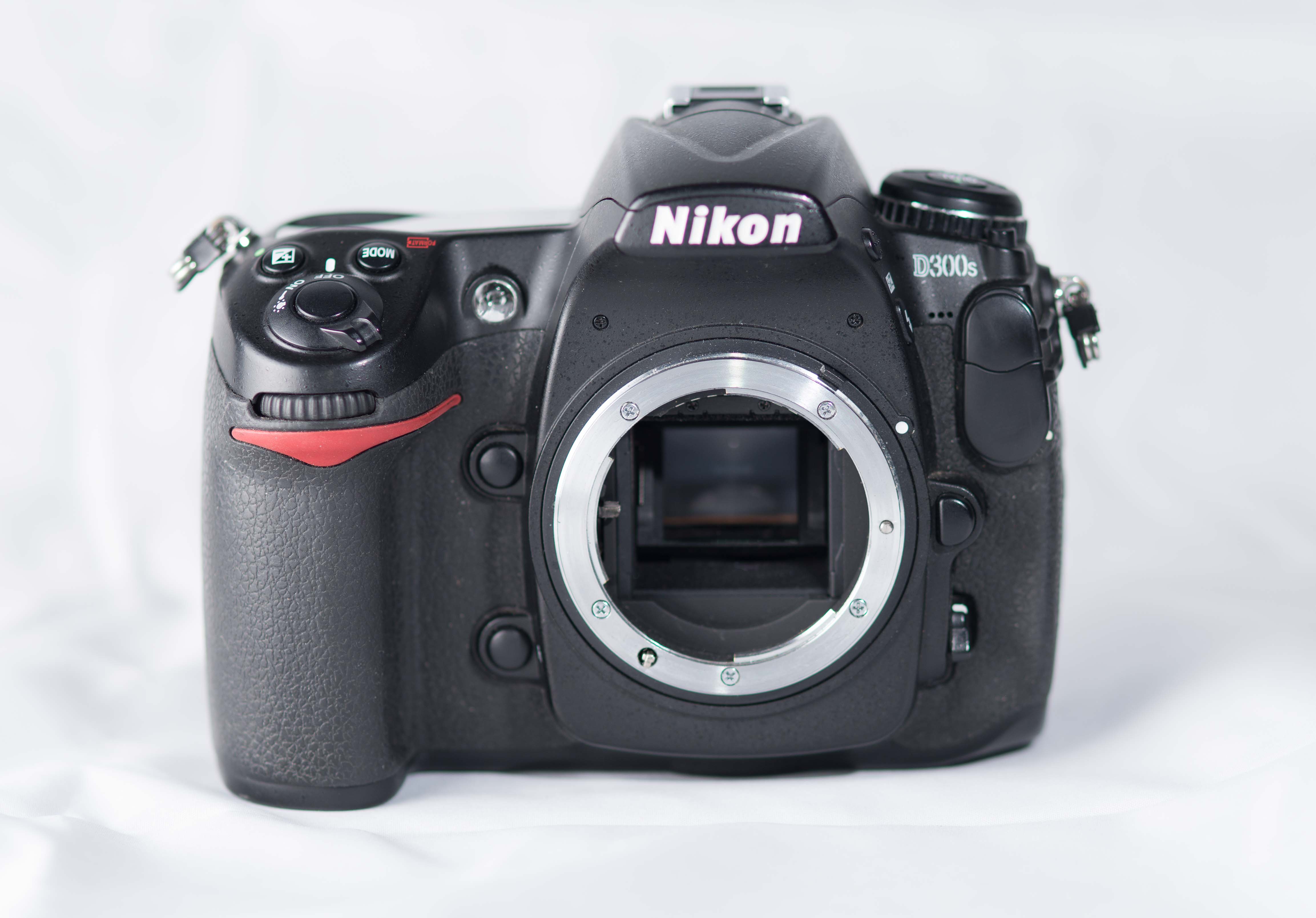 Nikon D300s-3.jpg
