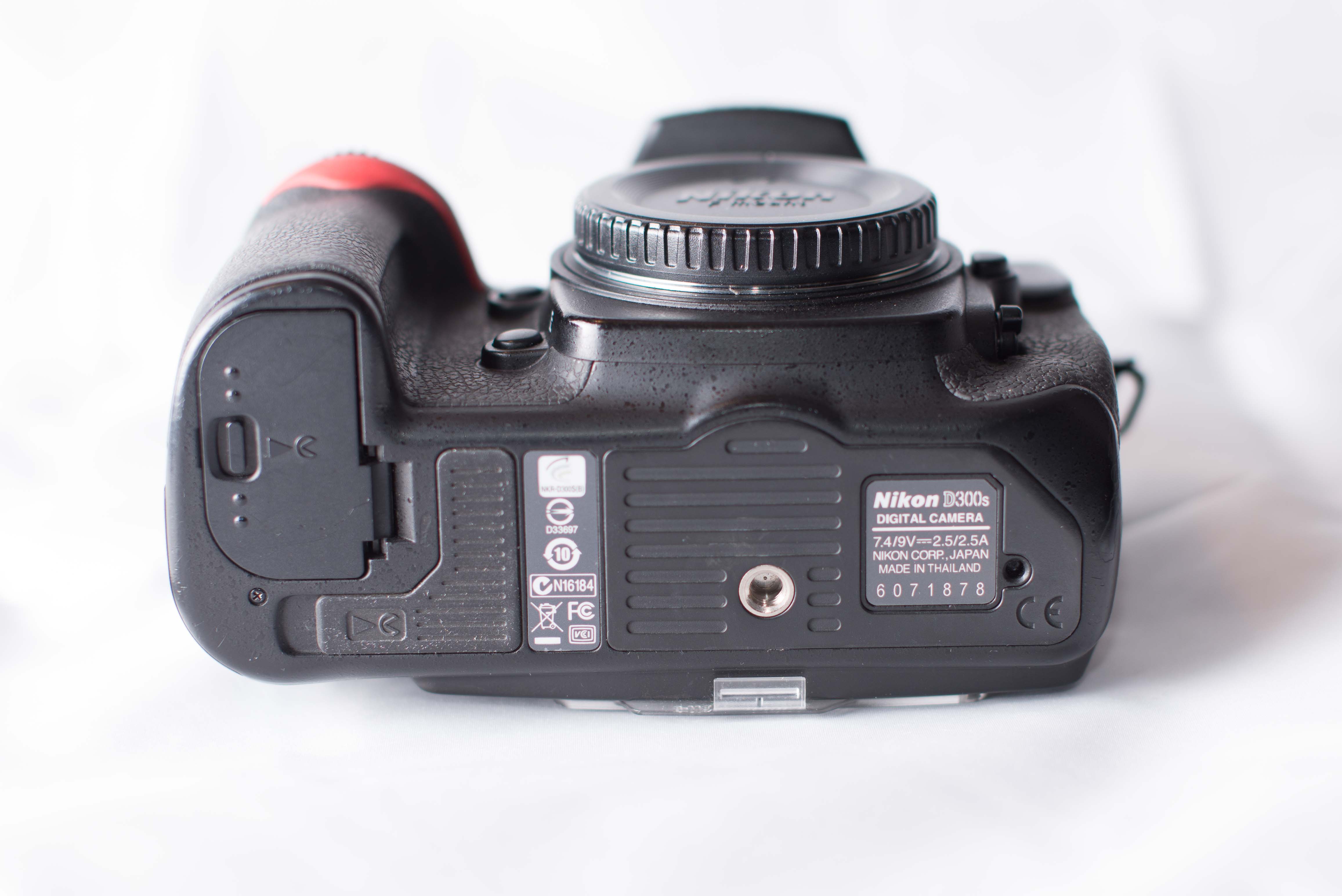 Nikon D300s-5.jpg