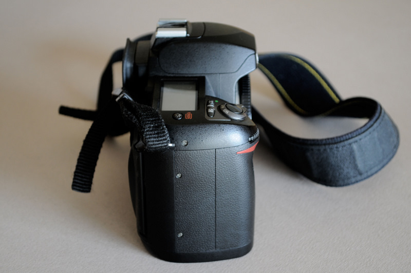 Nikon D70 4 b.jpg