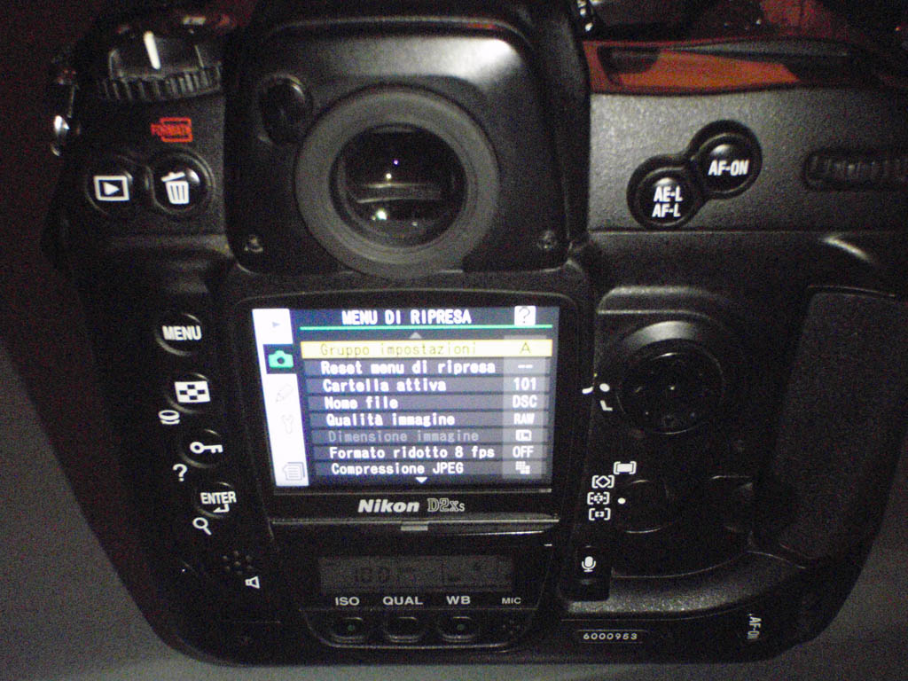 Nikond2xs back.jpg